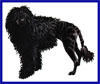 Click here for more detailed Portuguese Water Dog breed information and available puppies, studs dogs, clubs and forums